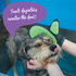 Kazoo Dog Grooming Glove