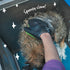 Kazoo Dog Grooming Glove