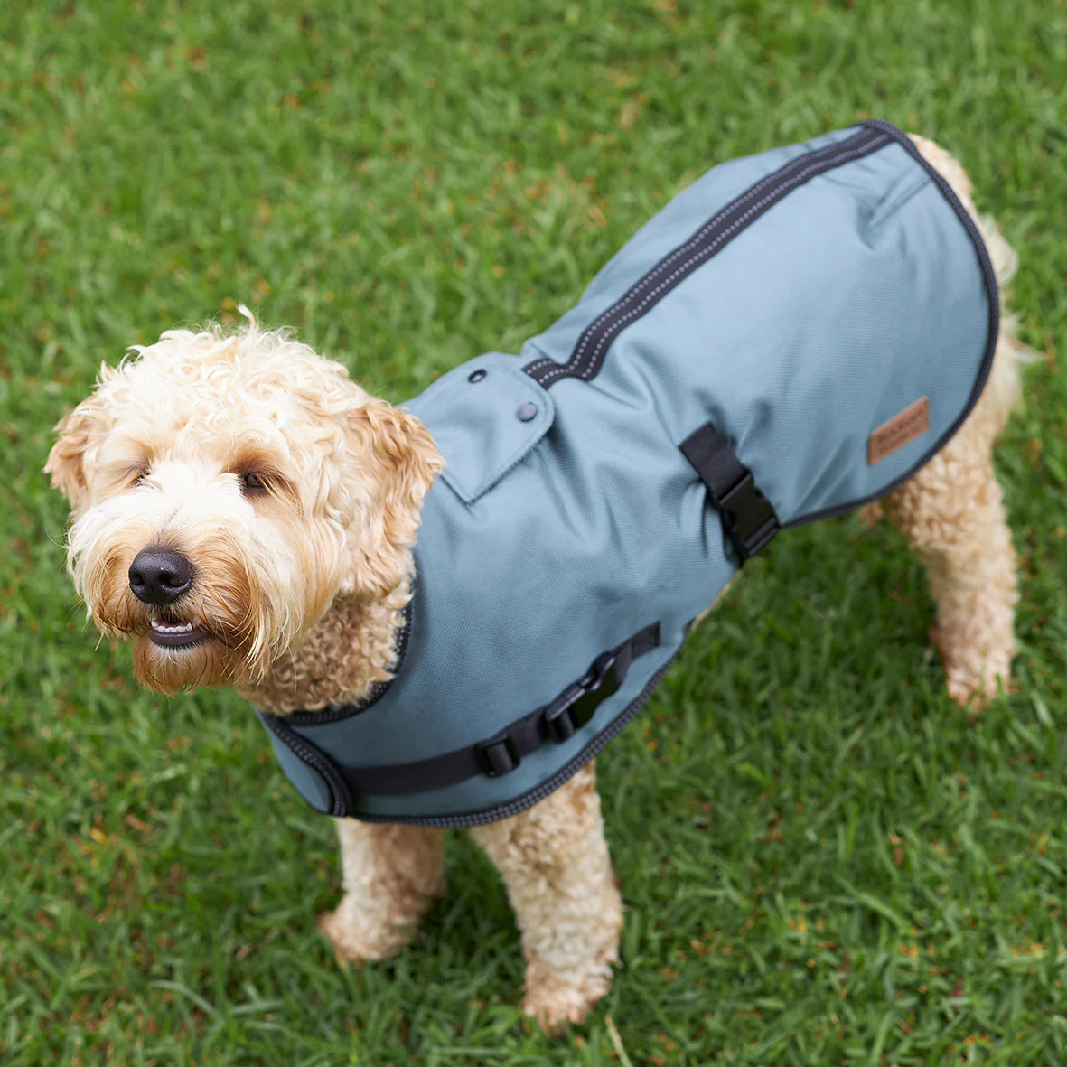 Kazoo Eco Adventure Coat Slate 59.5cm