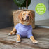 Kazoo Heart Knit Purple