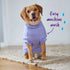 Kazoo Heart Knit Purple