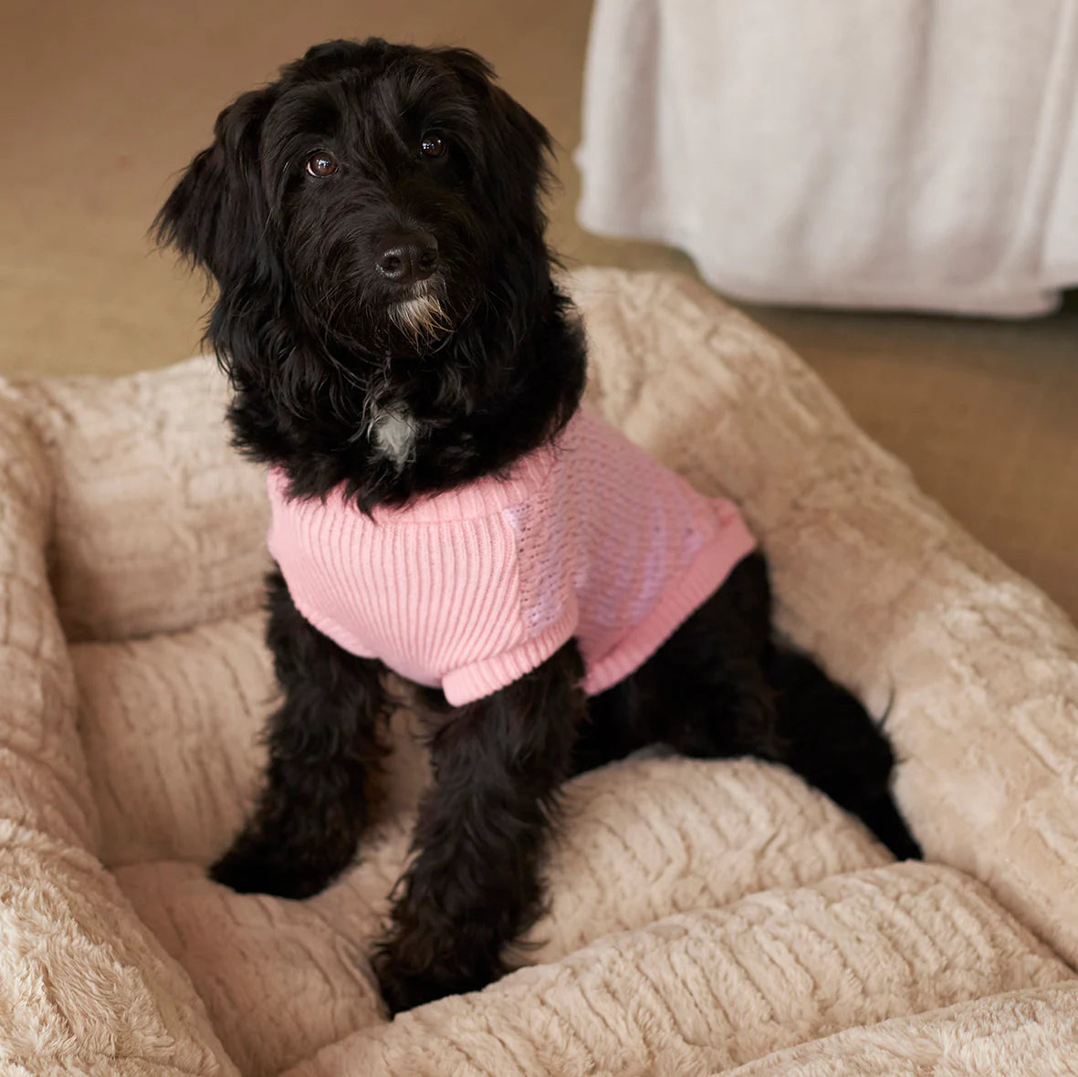Kazoo Jumper Pink Posy 59.5cm
