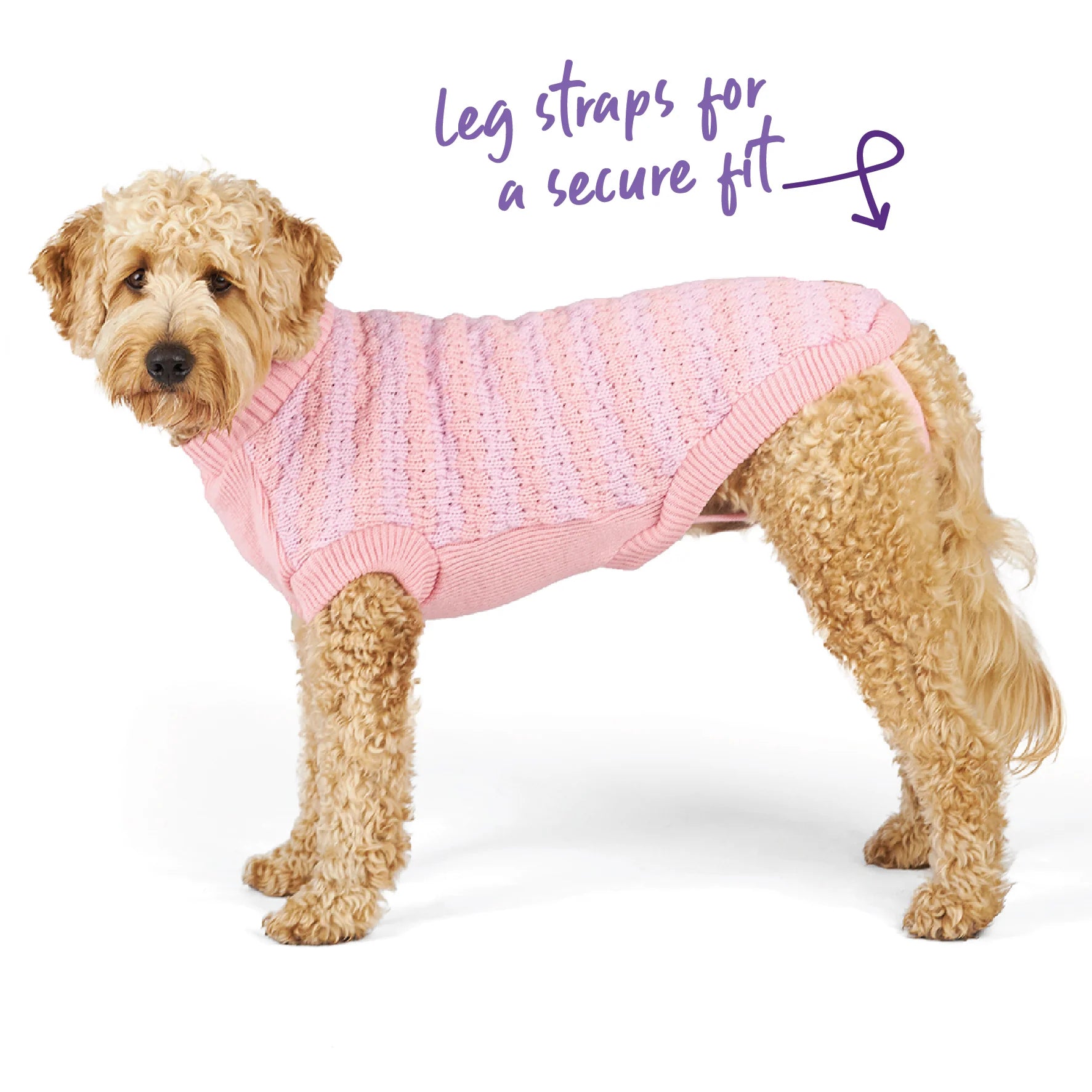 Kazoo Jumper Pink Posy 59.5cm