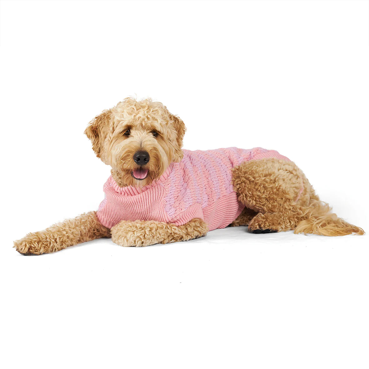 Kazoo Jumper Pink Posy 59.5cm