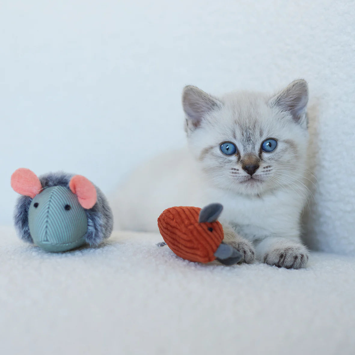 Kazoo Noisy Mouse