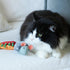 Kazoo Noisy Mouse