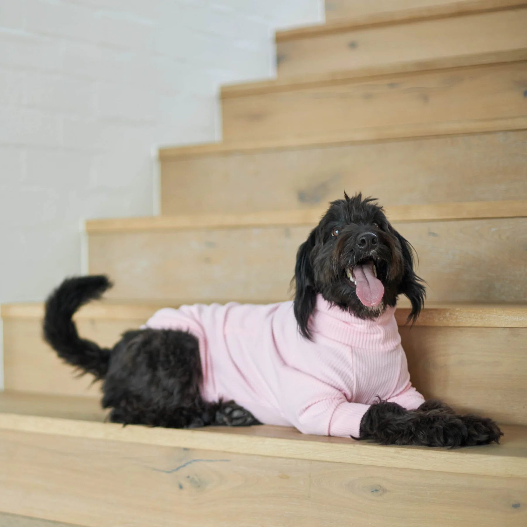 Kazoo Pooch Pajamas Pink
