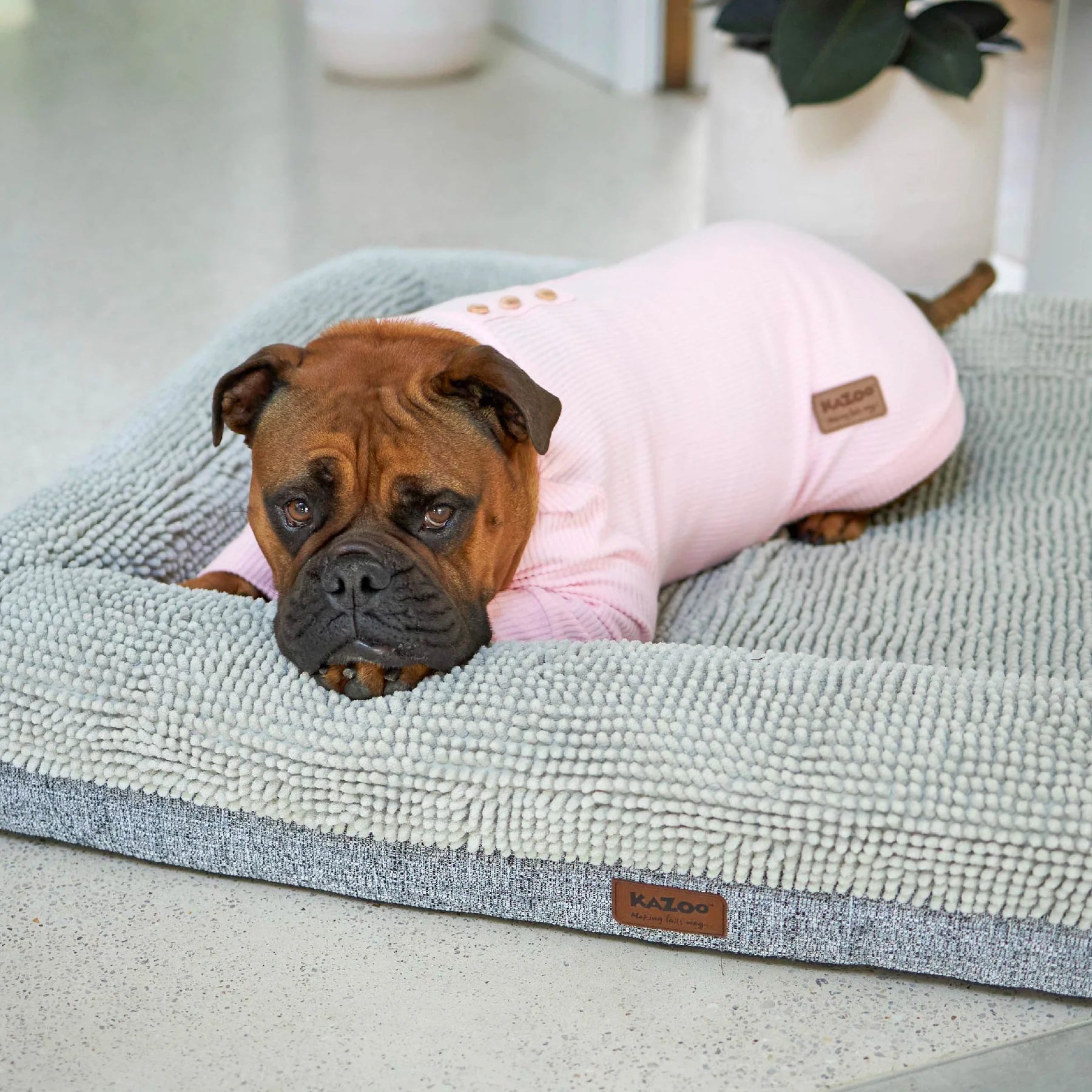 Kazoo Pooch Pajamas Pink