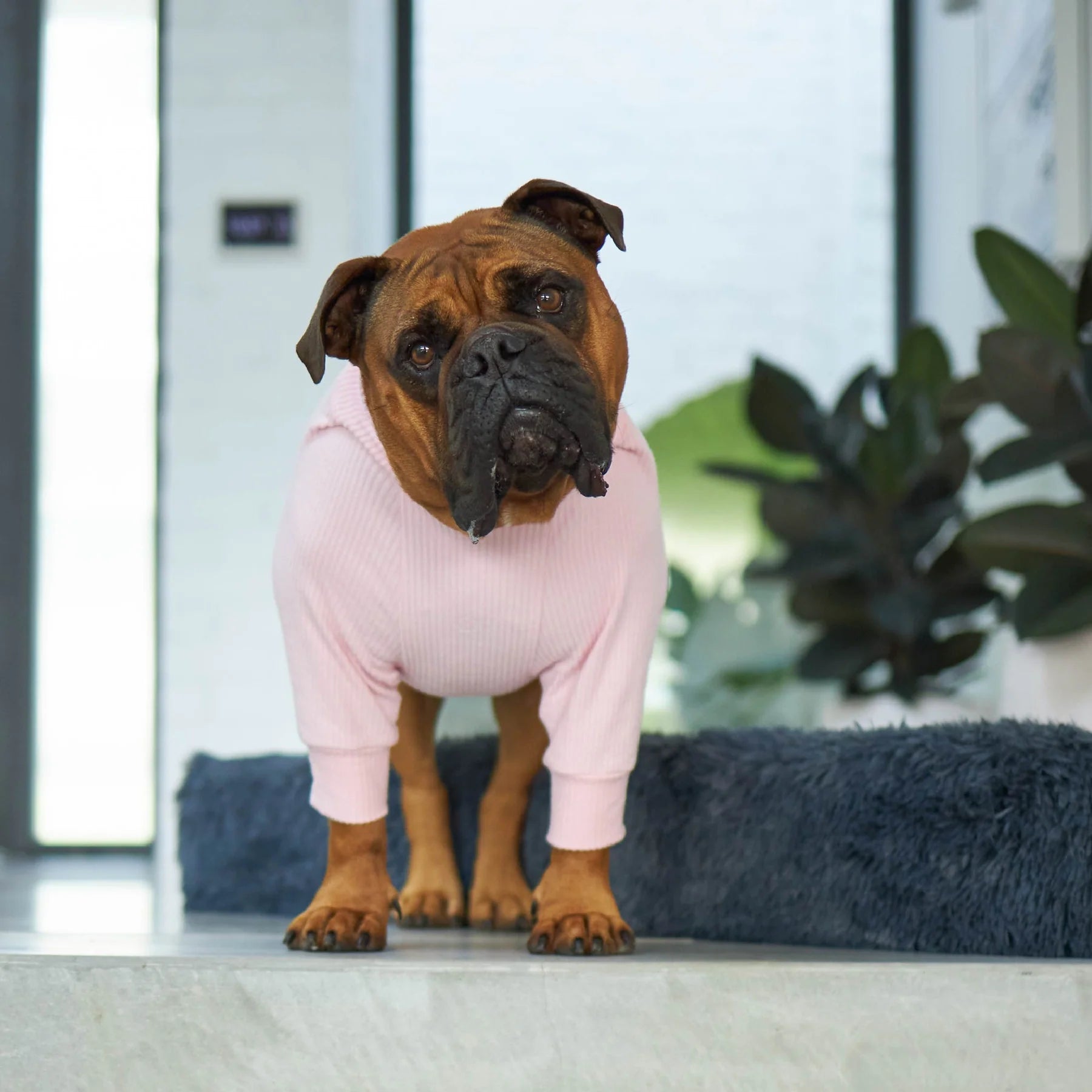 Kazoo Pooch Pajamas Pink