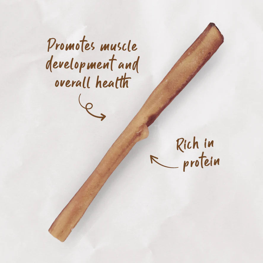 Kazoo Prime Cuts Beef Bully Sticks 30cm