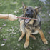 Kazoo Prime Cuts Beef Bully Sticks 30cm