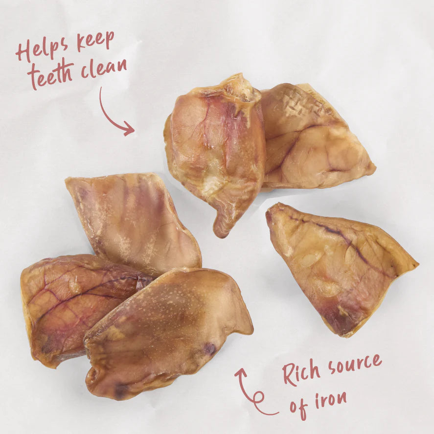 Kazoo Prime Cuts Pig Ear 12pk