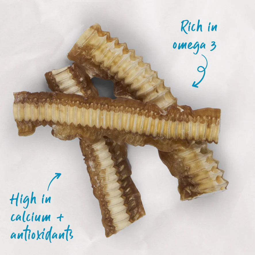 Kazoo Prime Cuts Shark Cartilage 400g