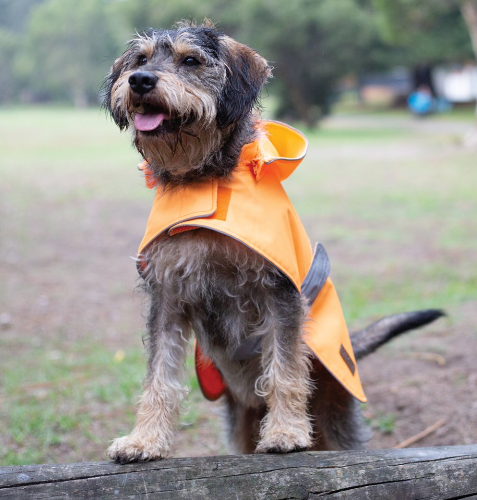 Kazoo Coat Raincoat HighViz Orange
