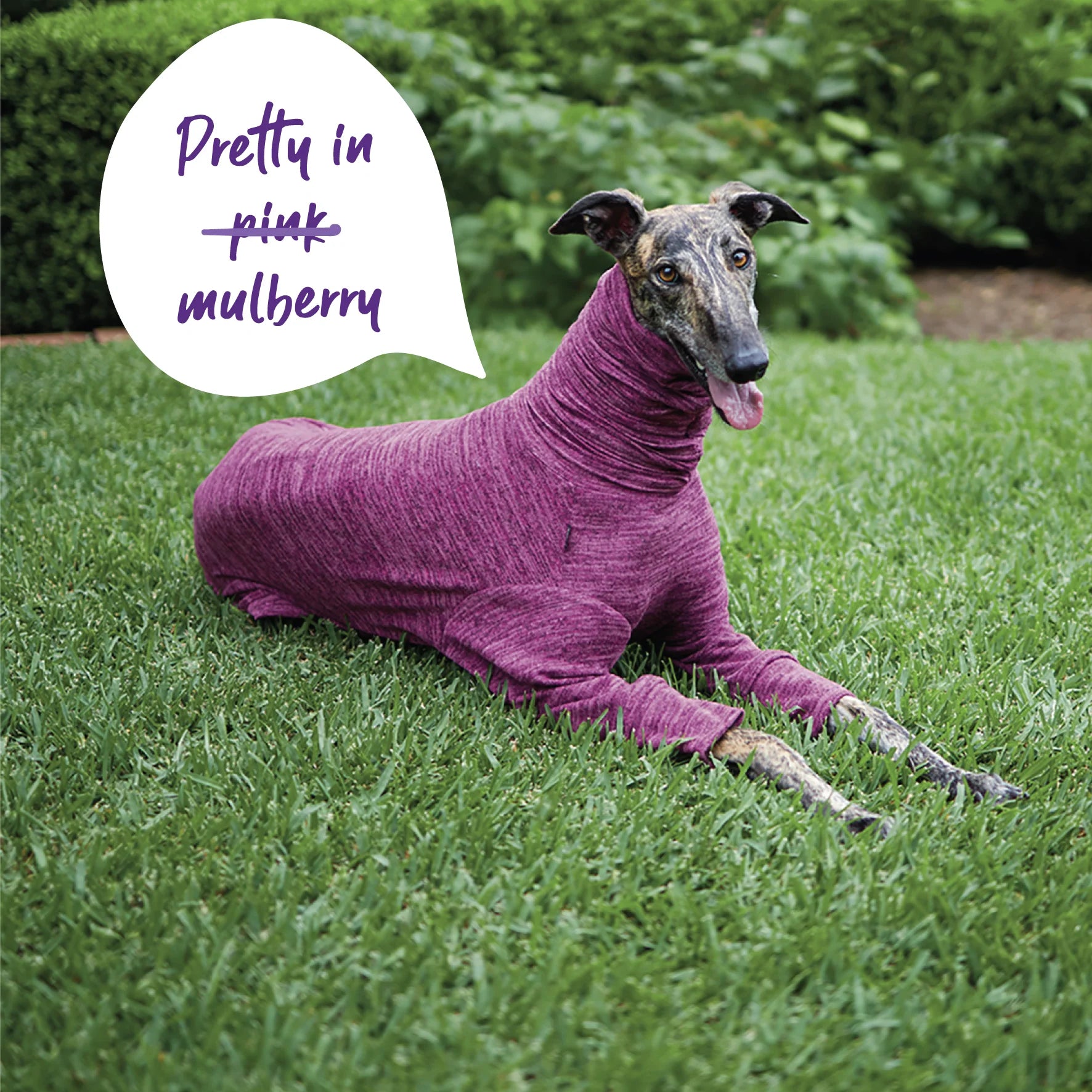 Kazoo Sleepwear Softie