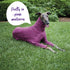Kazoo Sleepwear Softie