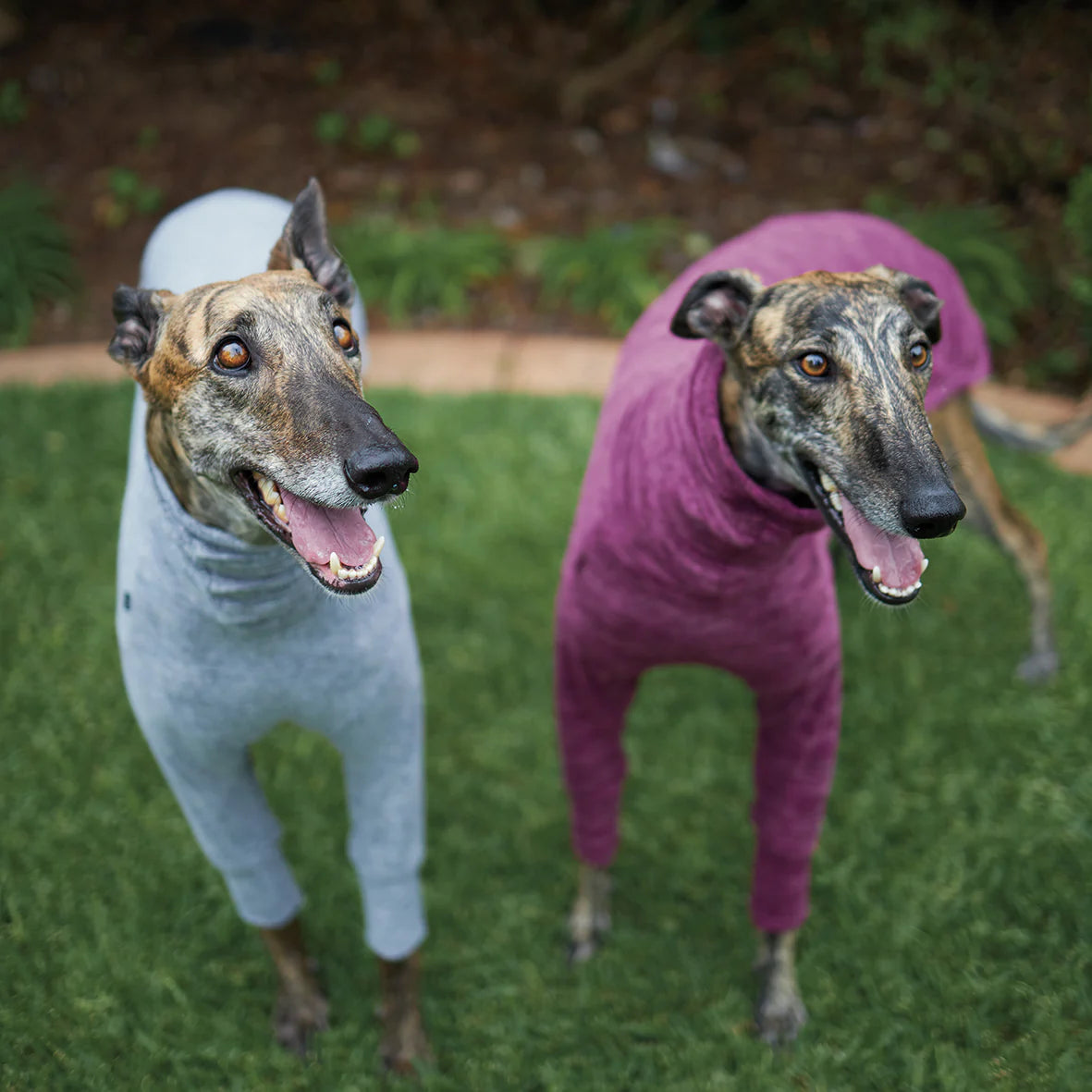 Kazoo Sleepwear Softie