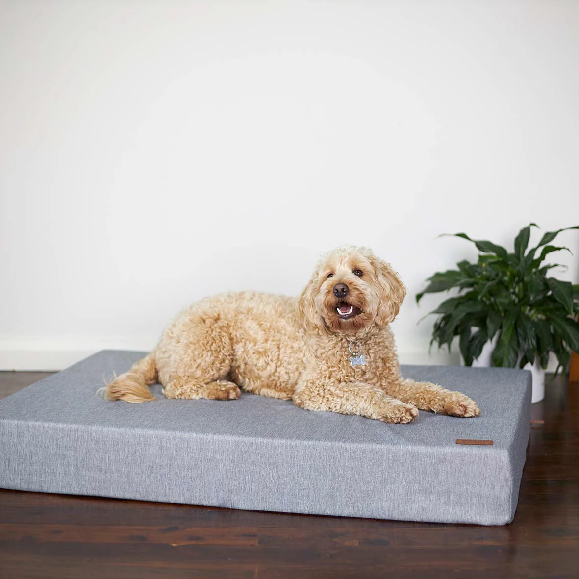 Kazoo Slumber Bed Ash Medium