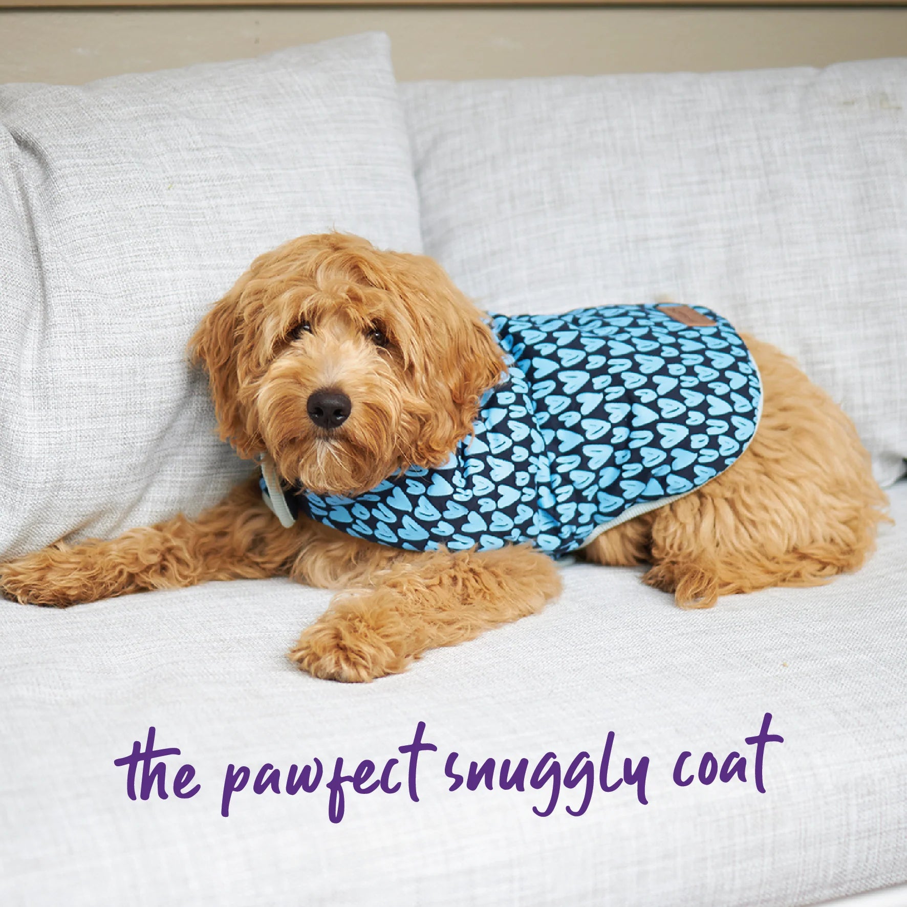 Kazoo Snuggie Blue Love 46.5cm