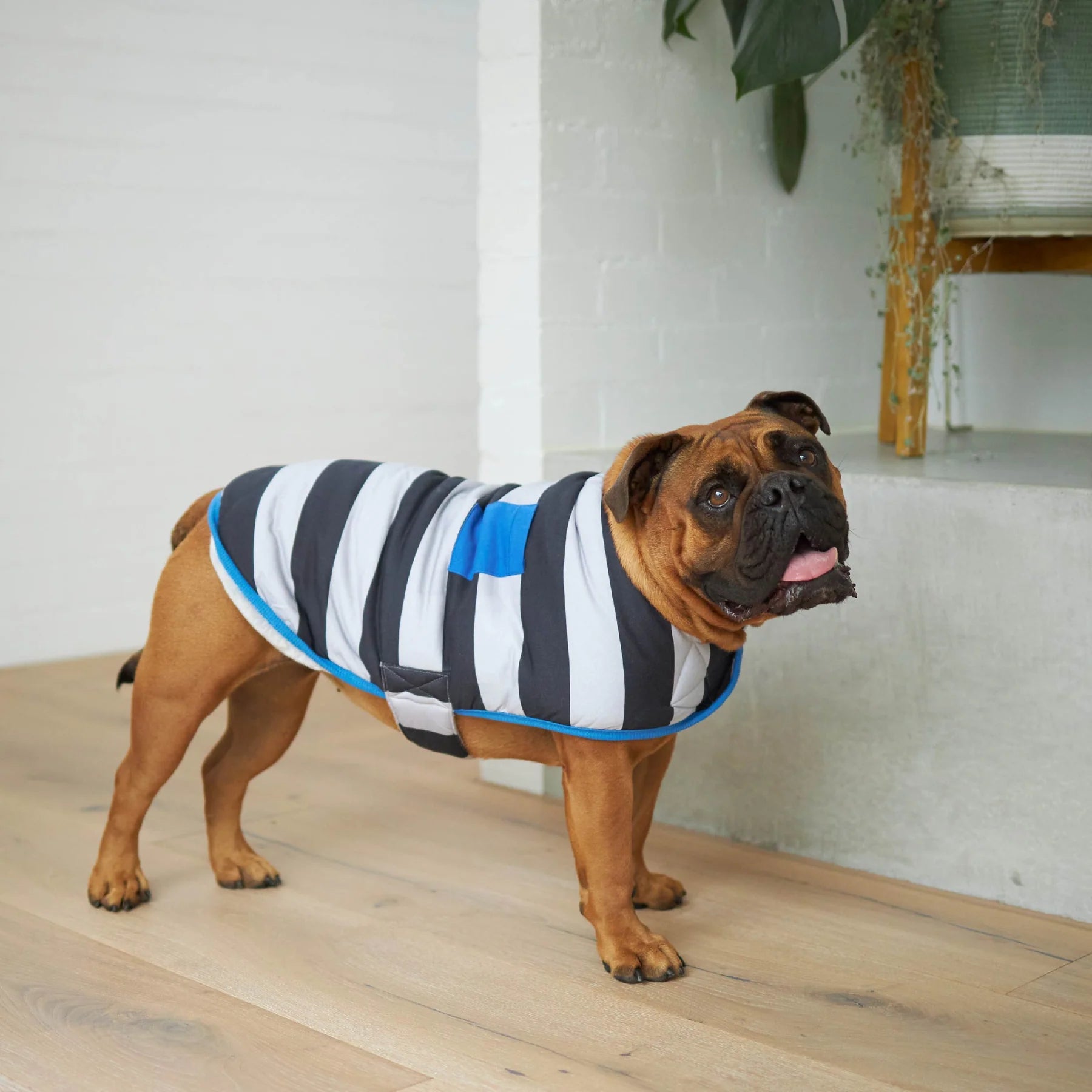 Kazoo Snuggie Chunky Stripe 59.5cm