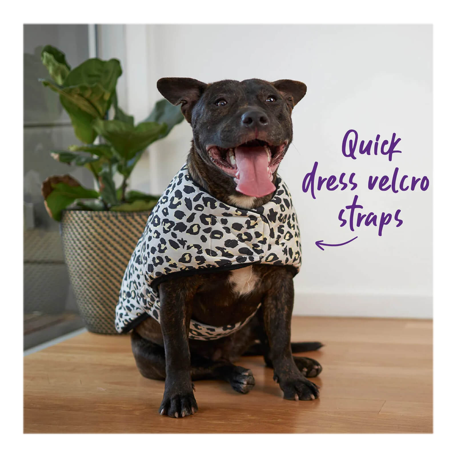 Kazoo Snuggie Into the Wild