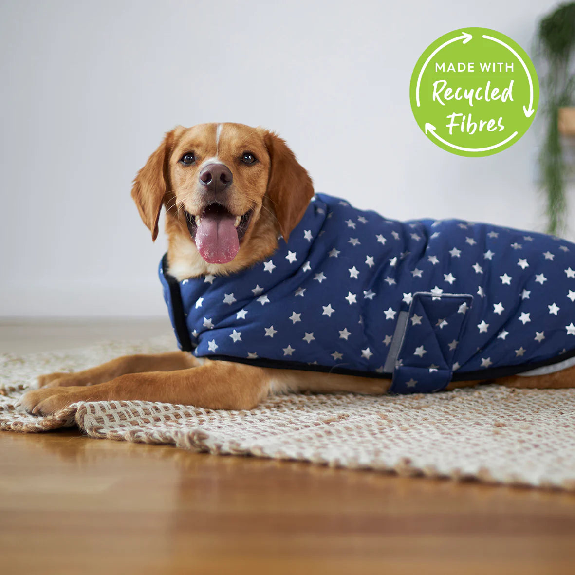 Kazoo Starbright Snuggie