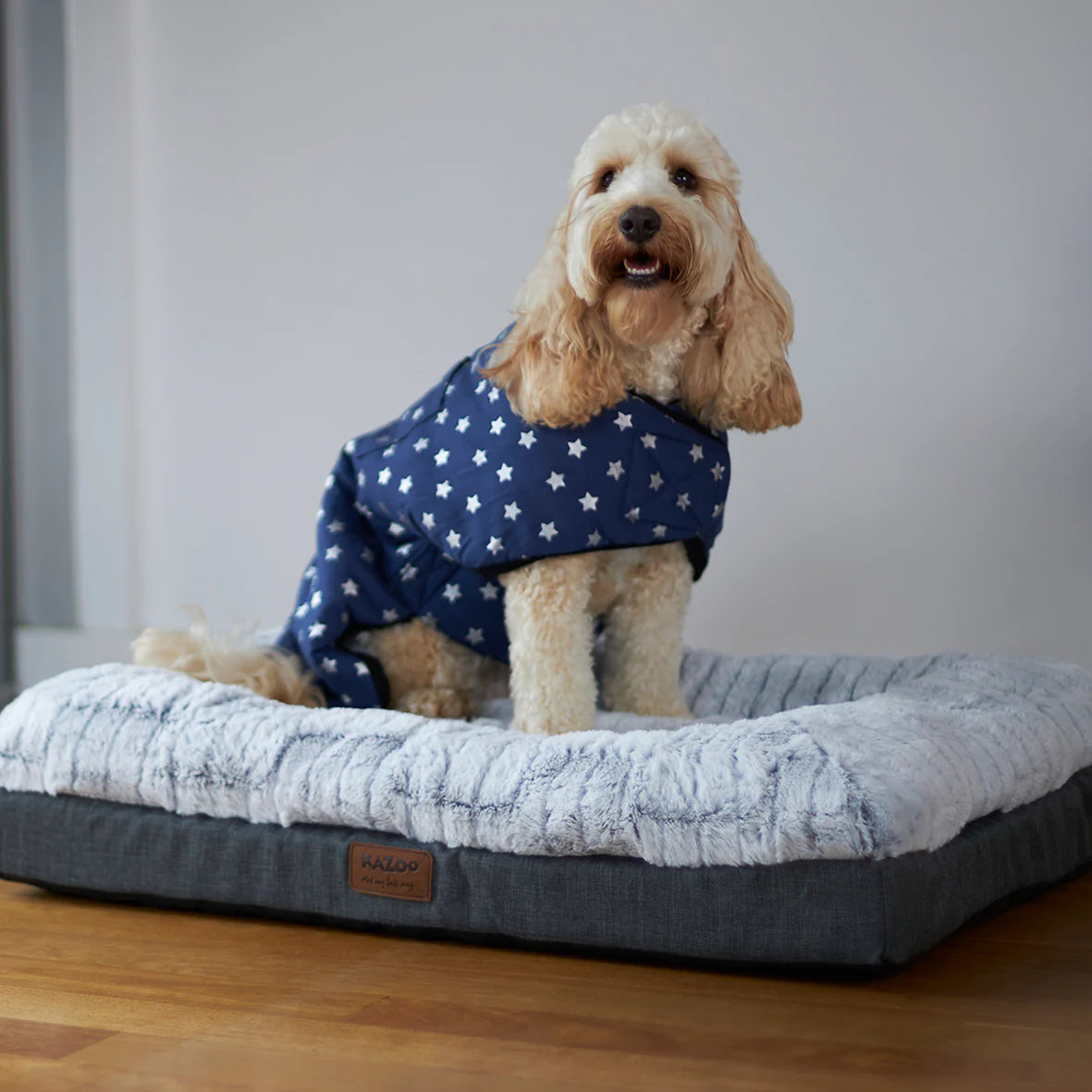 Kazoo Starbright Snuggie