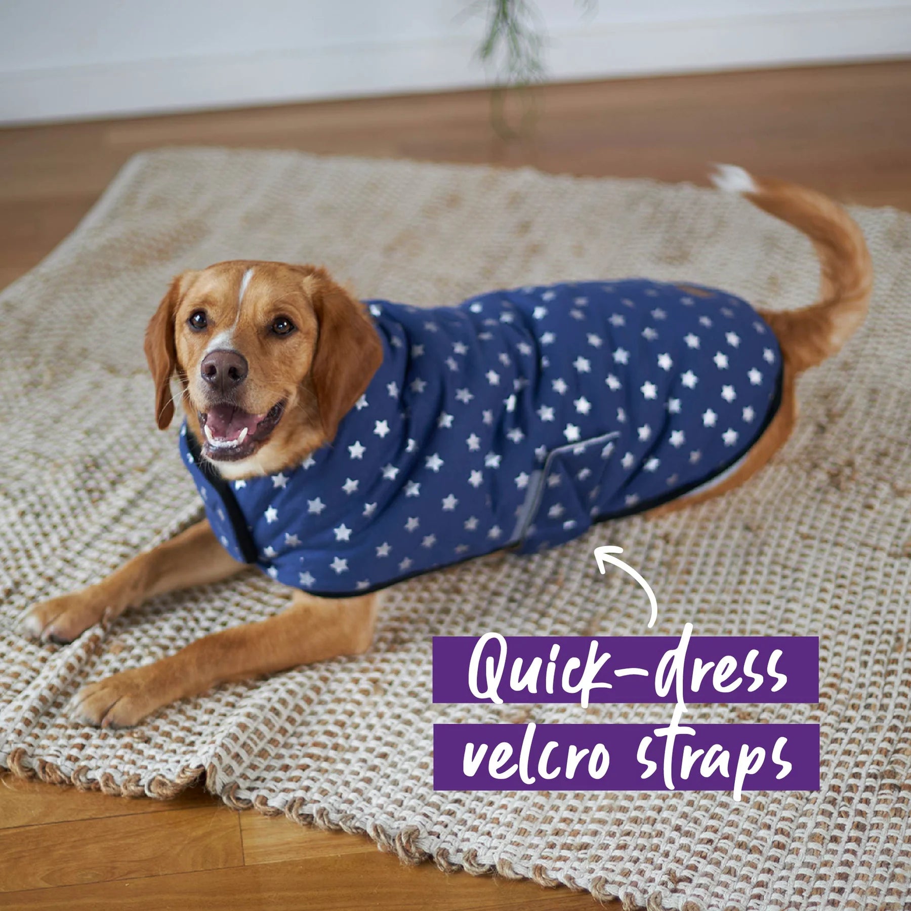 Kazoo Starbright Snuggie