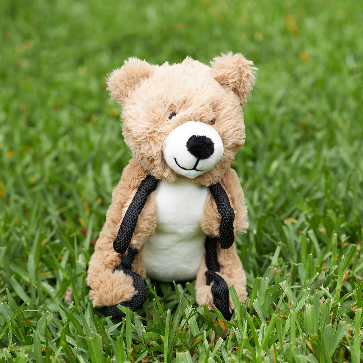 Kazoo Tough Bear Small
