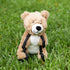 Kazoo Tough Bear Small
