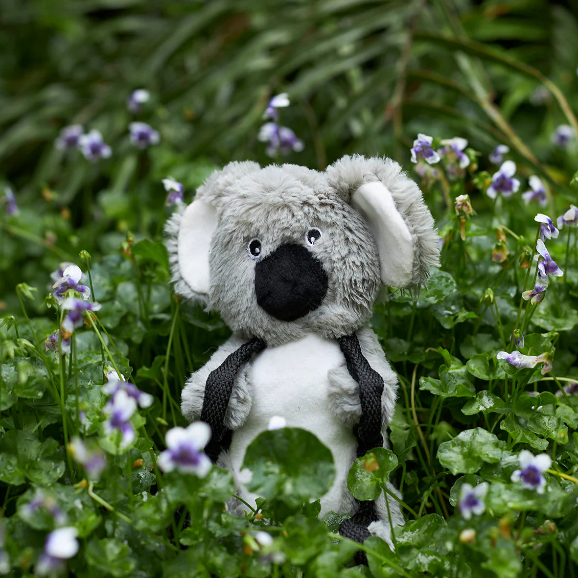 Kazoo Tough Koala Small