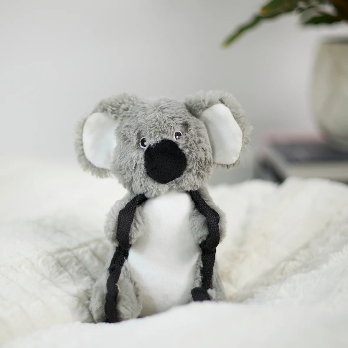 Kazoo Tough Koala Small