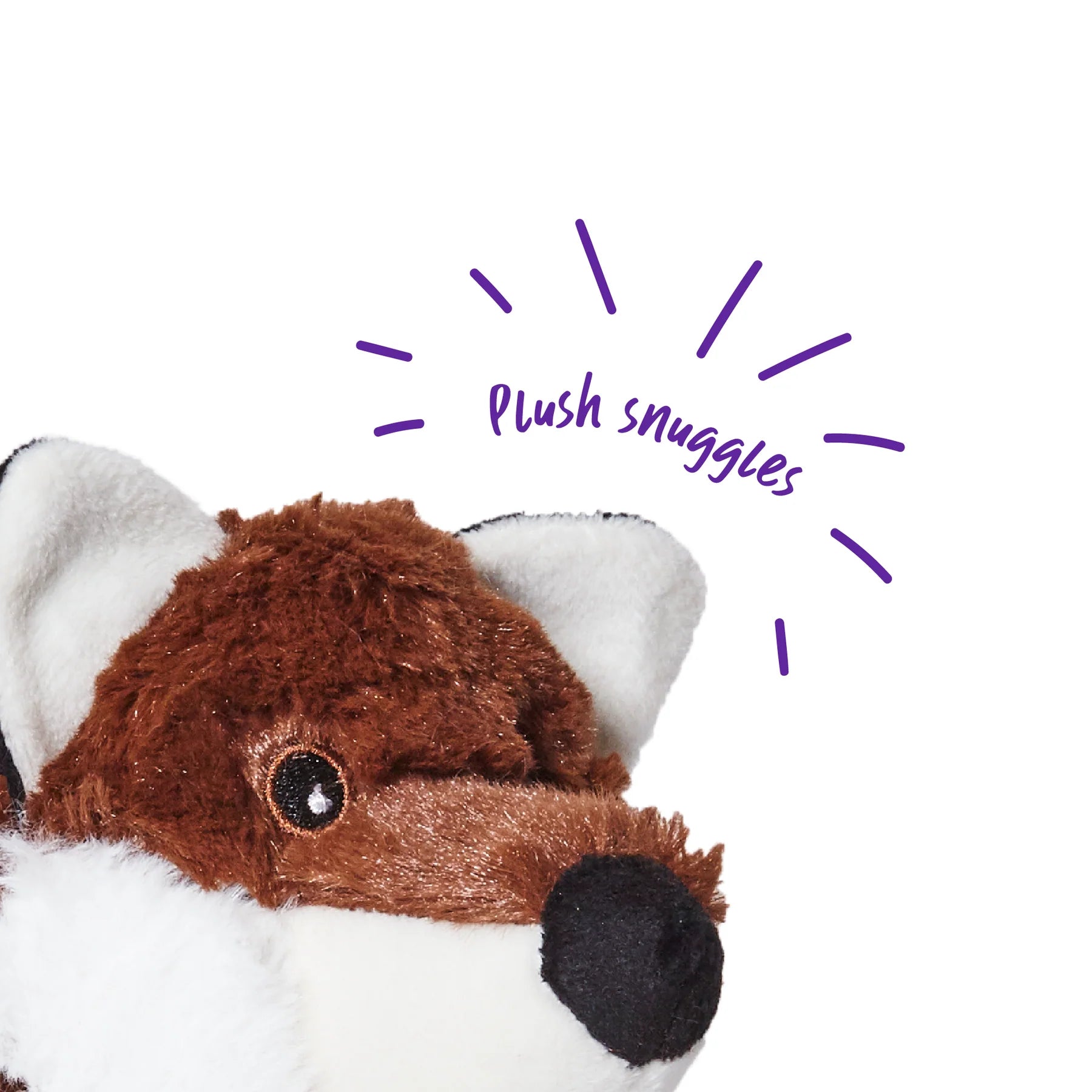 Kazoo Tough Raccoon Small