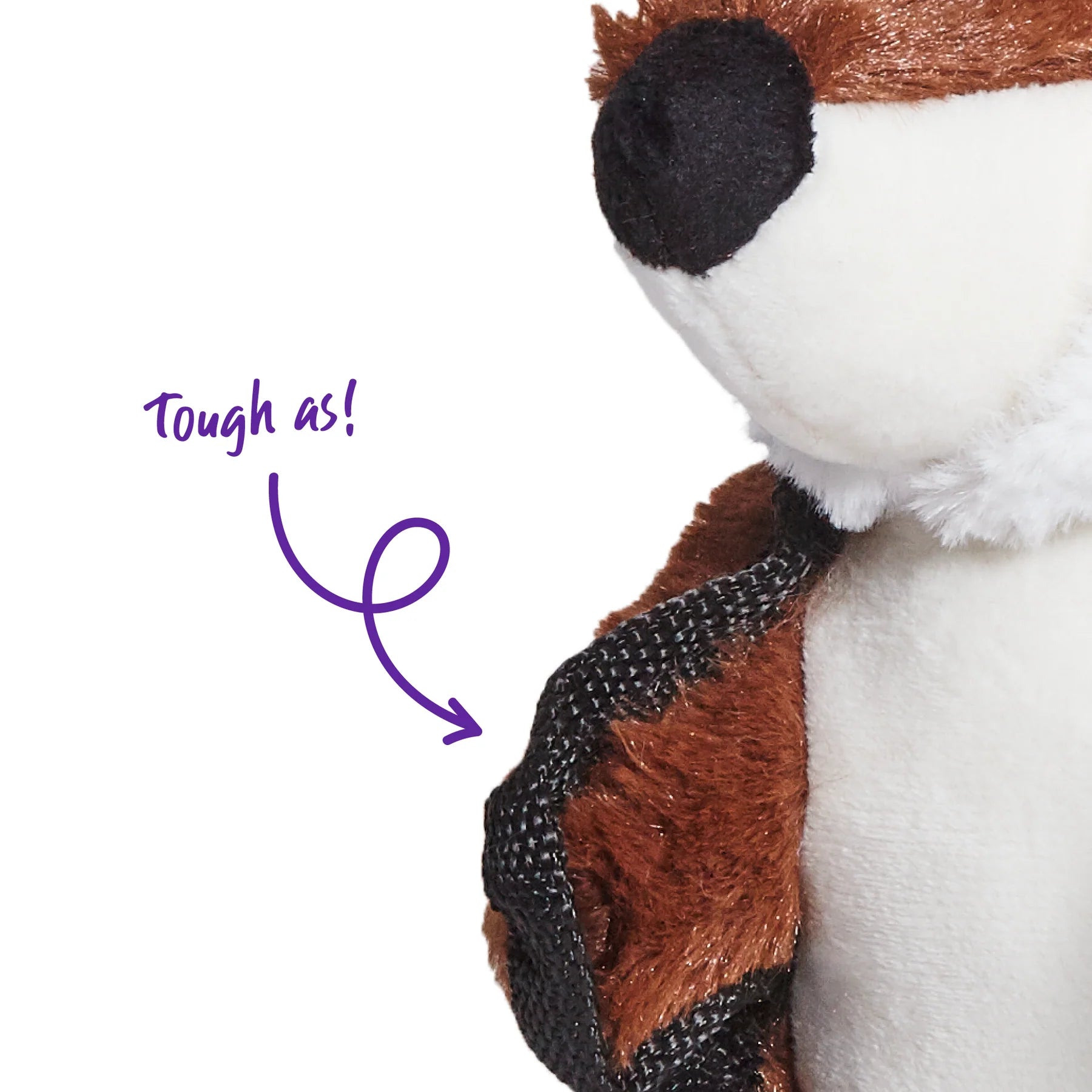 Kazoo Tough Raccoon Small