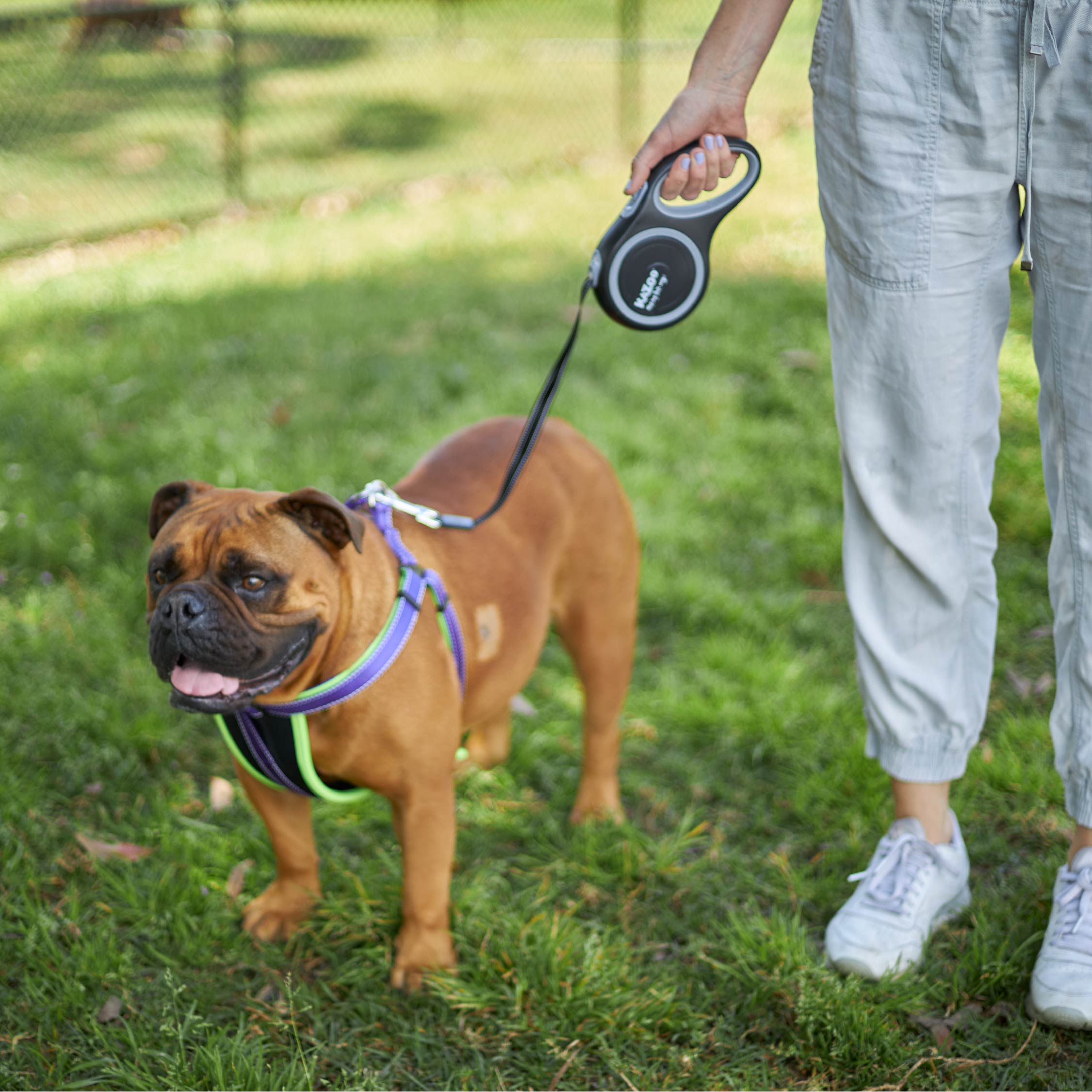Kazoo Retractable Lead Large