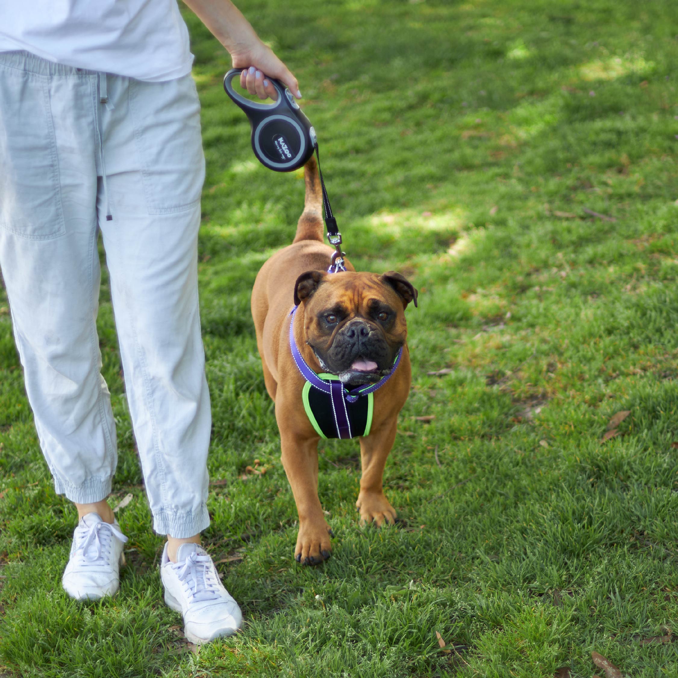 Kazoo Retractable Lead Large