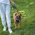 Kazoo Retractable Lead Large