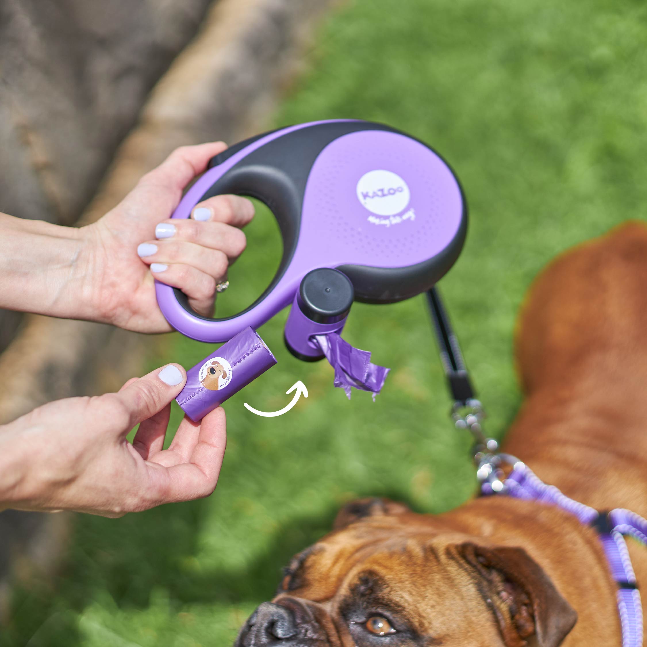 Kazoo Retractable Lead plus Poop Bag Dispenser