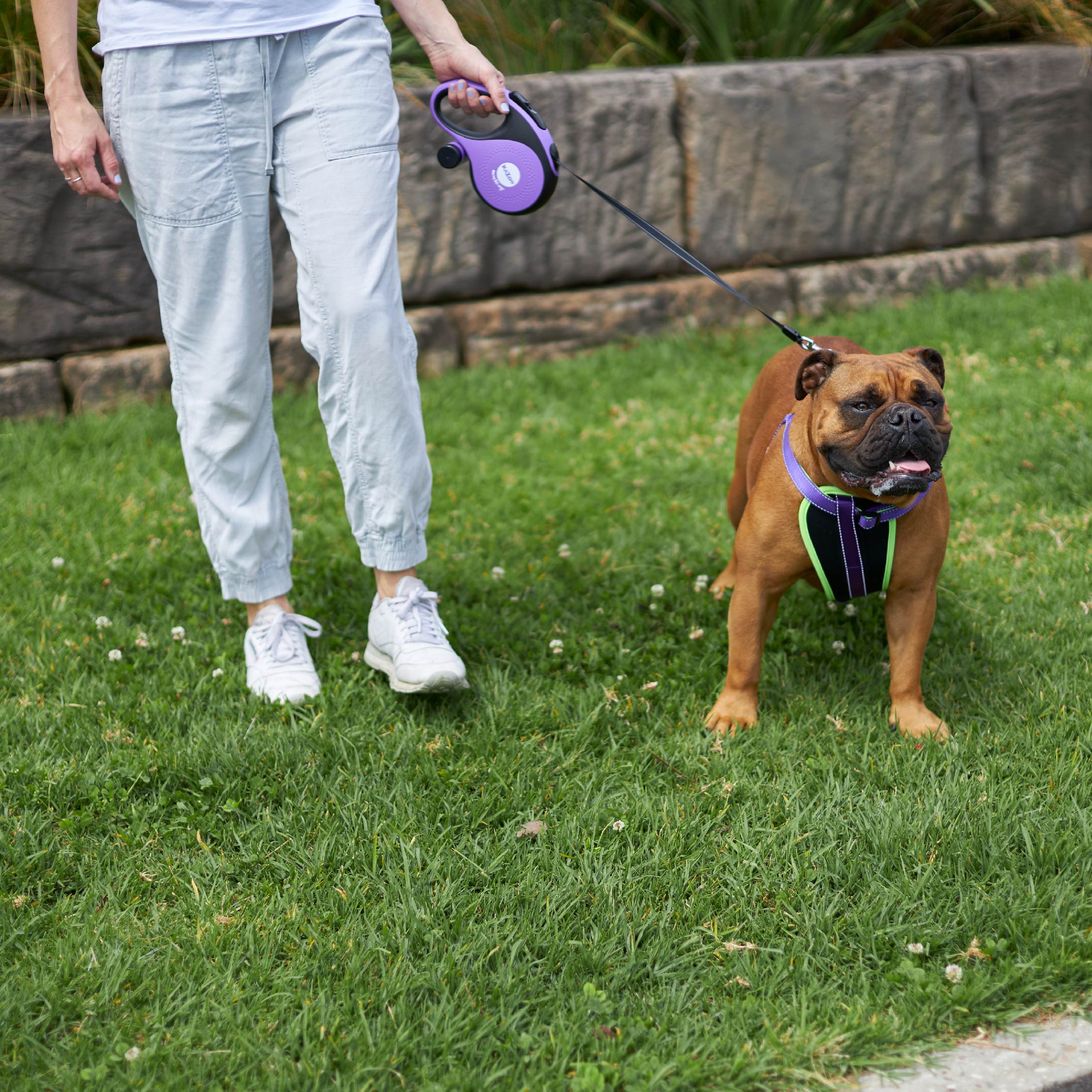 Kazoo Retractable Lead plus Poop Bag Dispenser