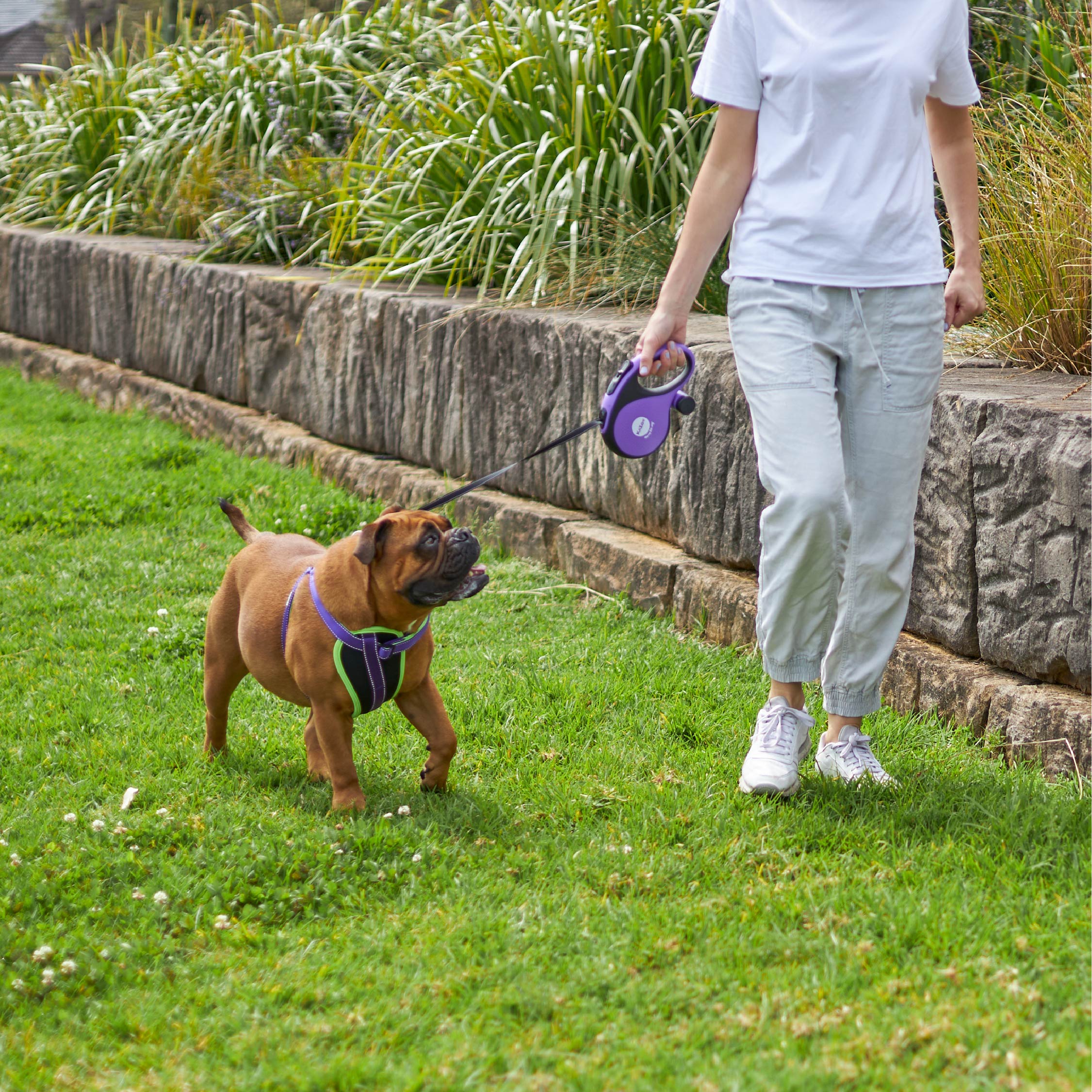 Kazoo Retractable Lead plus Poop Bag Dispenser