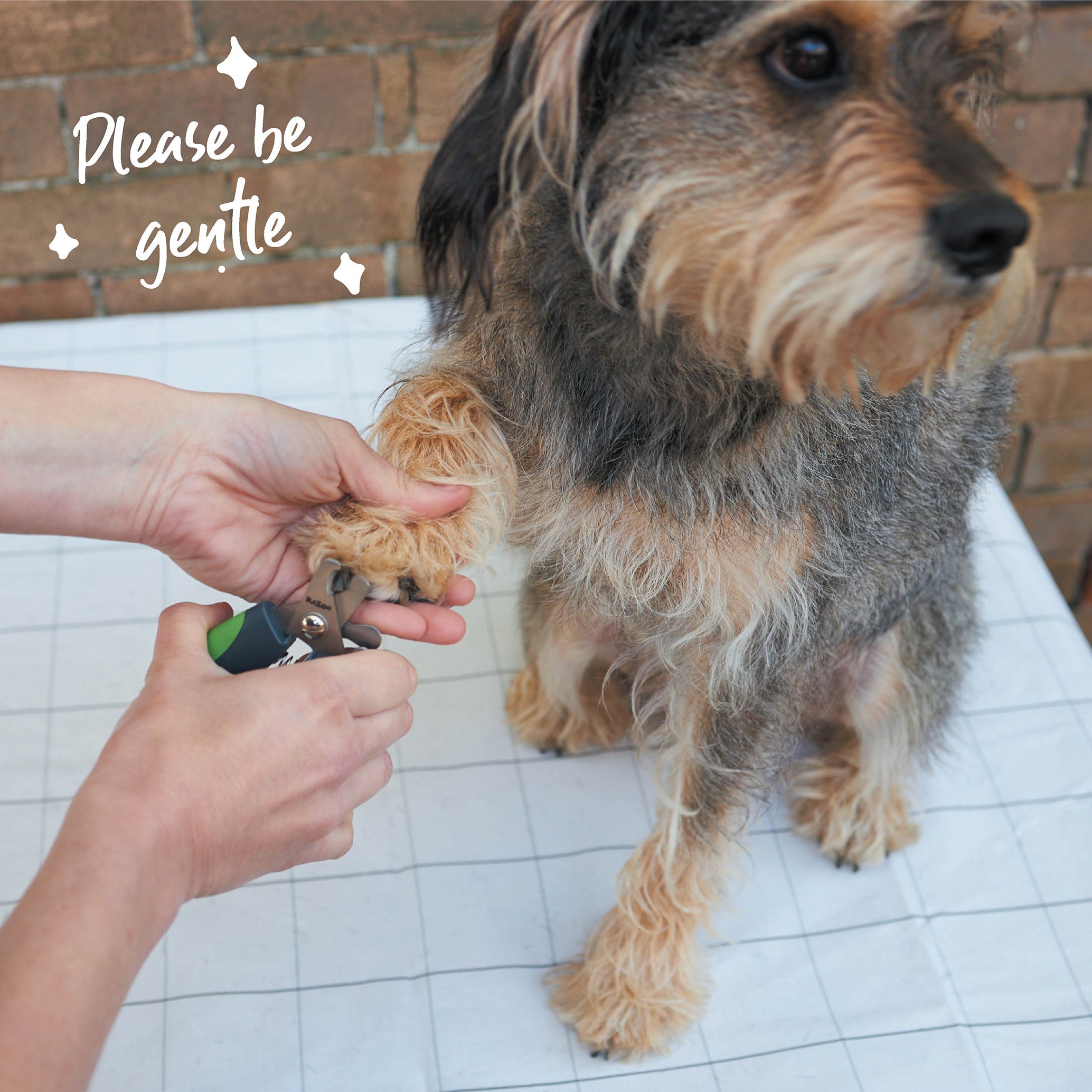 Kazoo Dog Nail Clipper