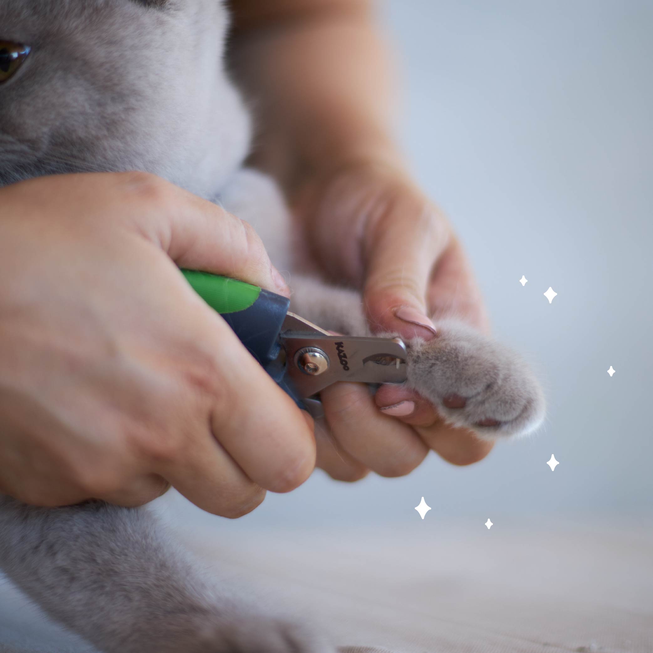 Kazoo Dog Nail Clipper
