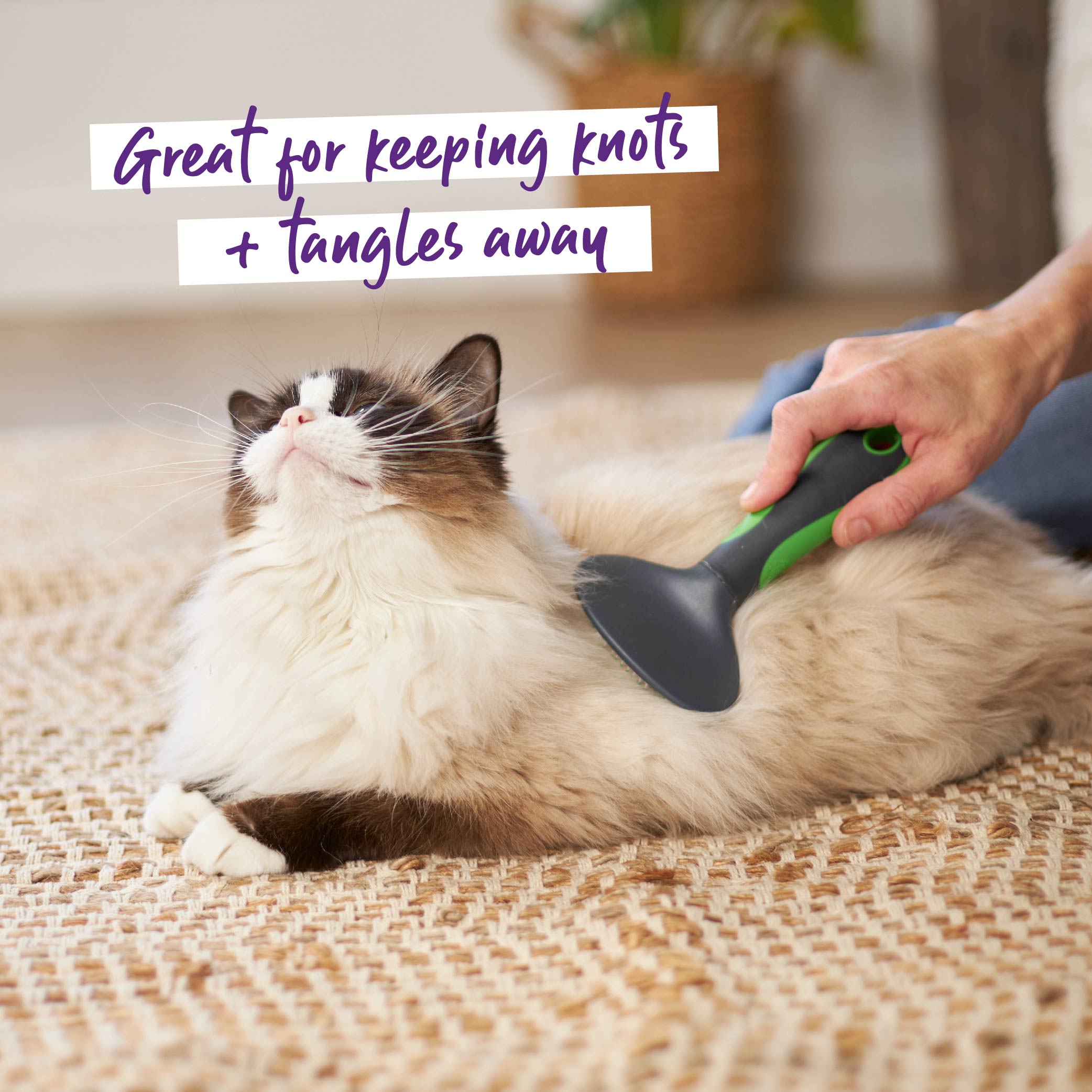 Kazoo Cat Slicker Brush