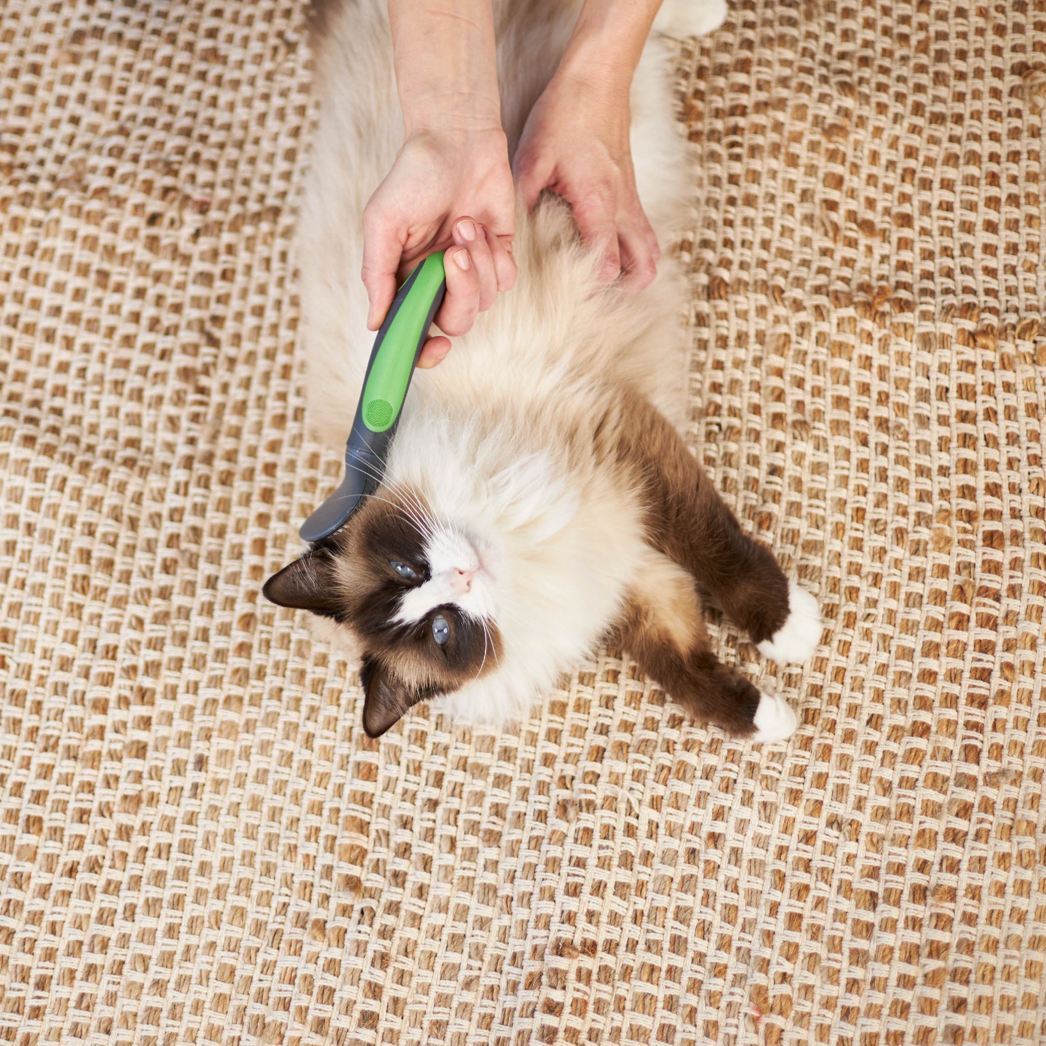 Kazoo Cat Slicker Brush