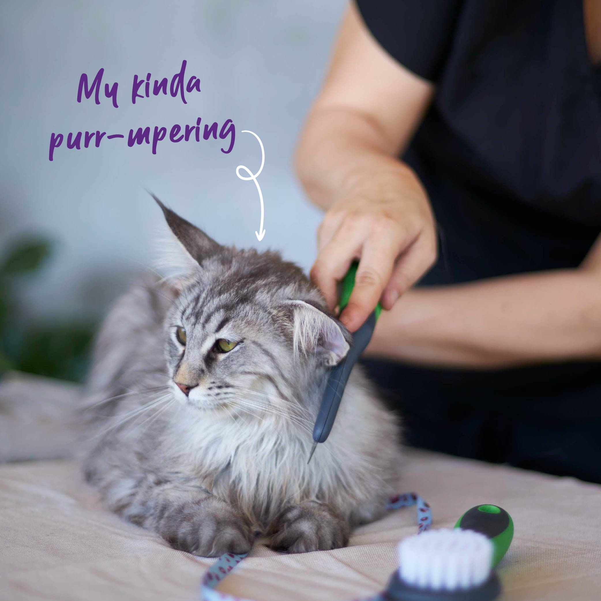 Kazoo Dog Grooming Comb