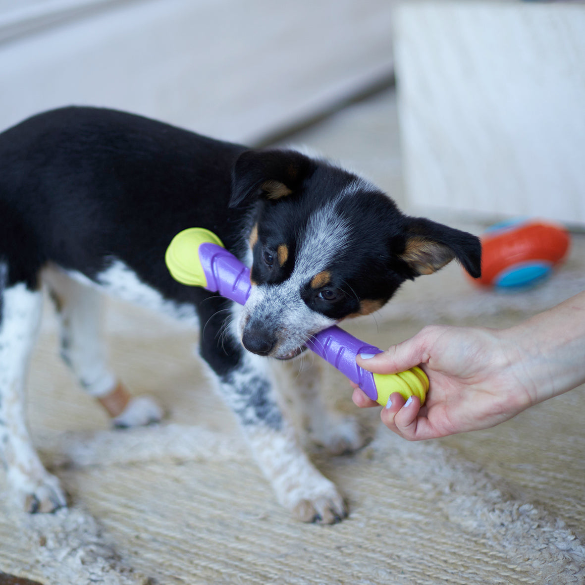 Kazoo Extreme Play Chew Stick