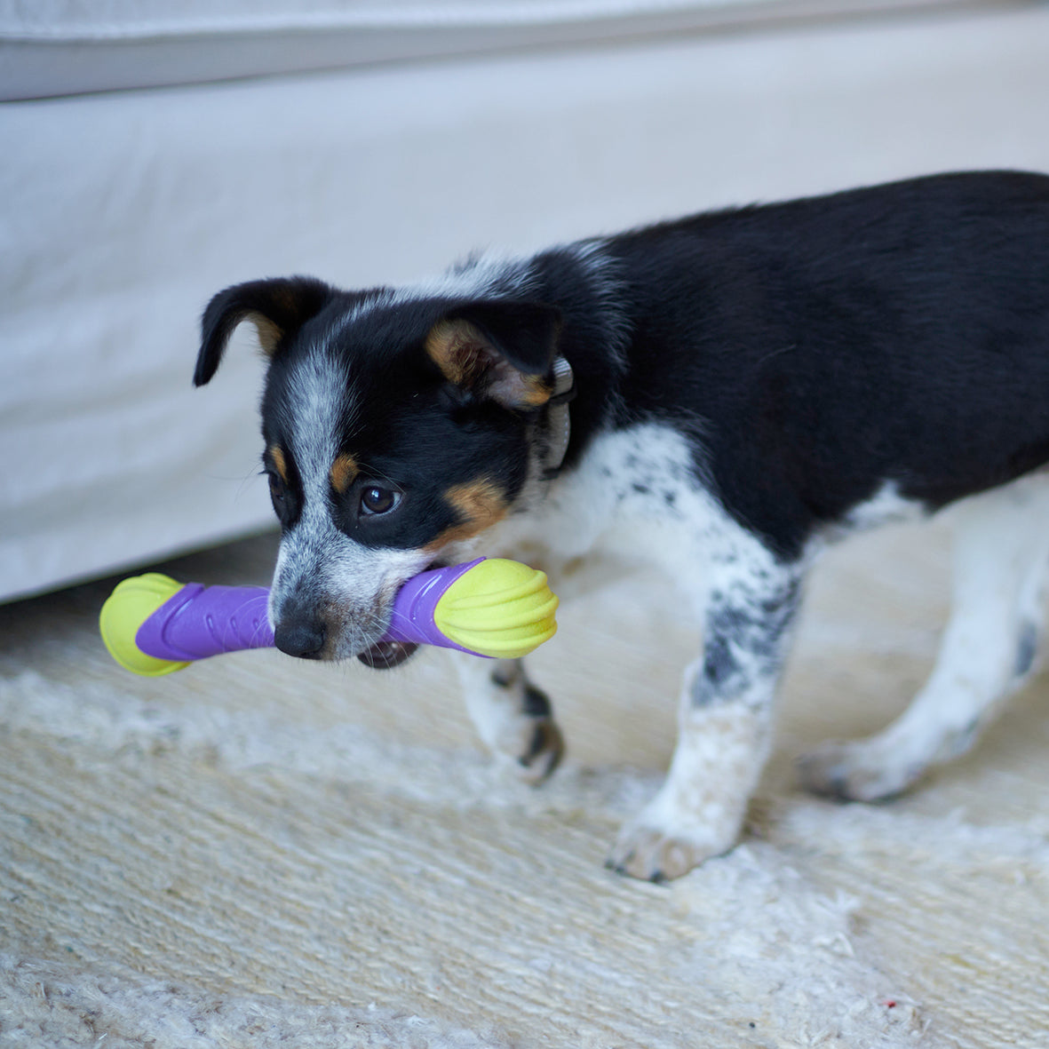 Kazoo Extreme Play Chew Stick