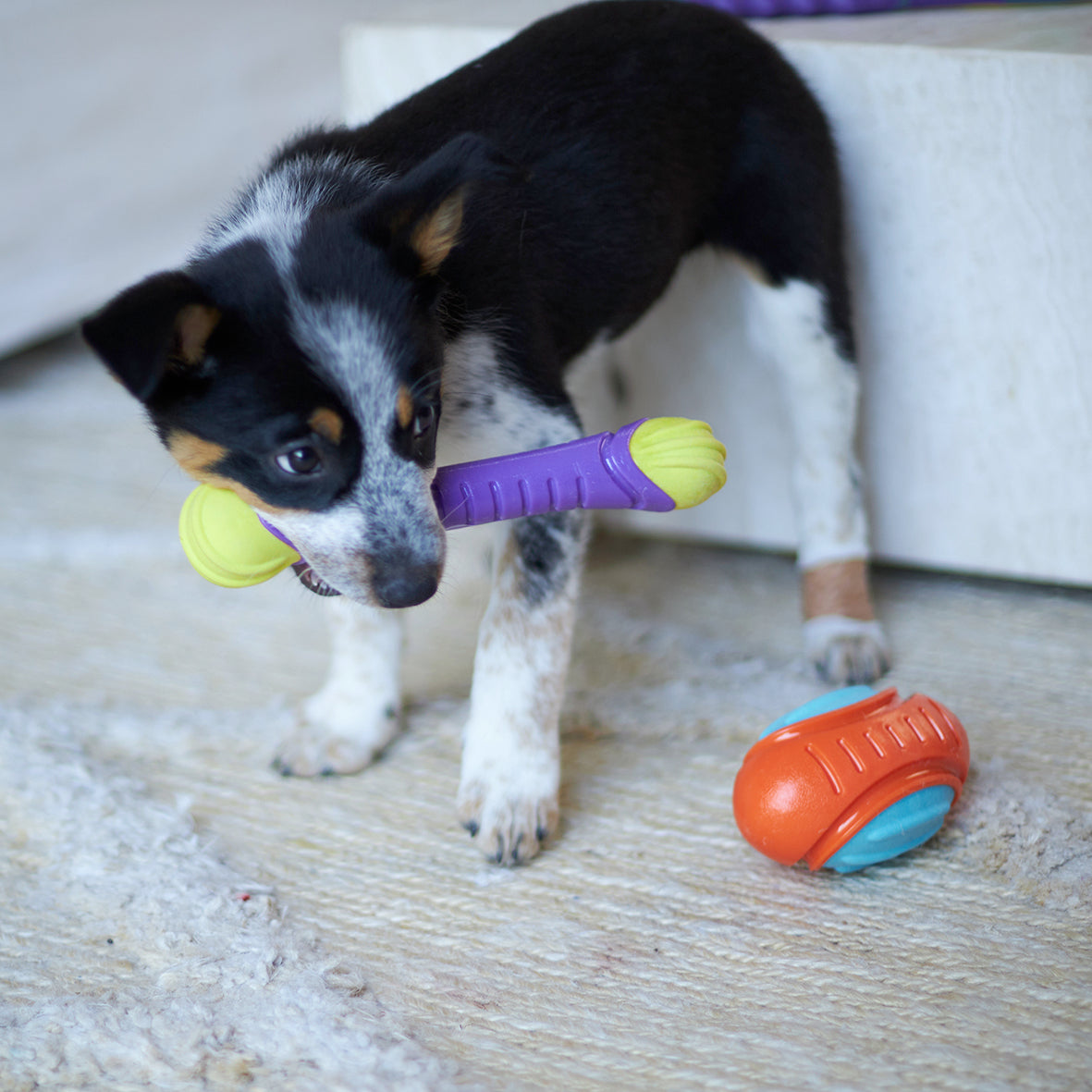 Kazoo Extreme Play Chew Stick