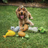 Latex Barney the Dog Medium