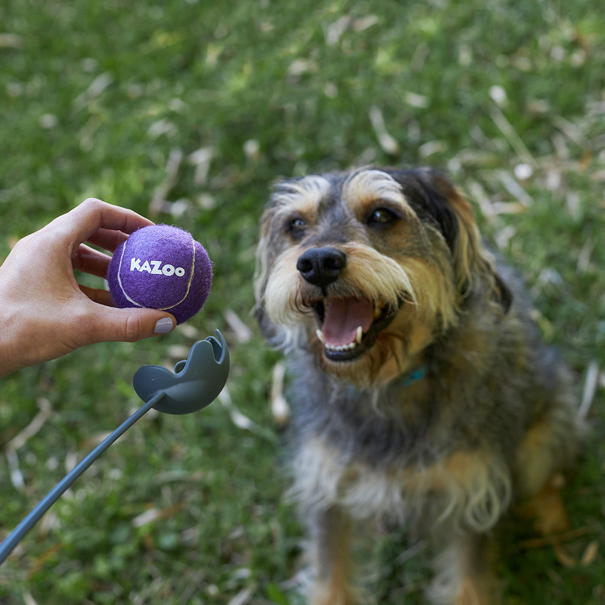 Kazoo EcoFriendly Ball Thrower
